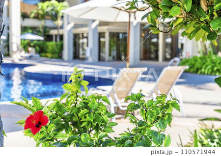 リゾートホテルのプールサイドとハイビスカス（ブッソウゲ）　イメージ　沖縄県名護市 110571944