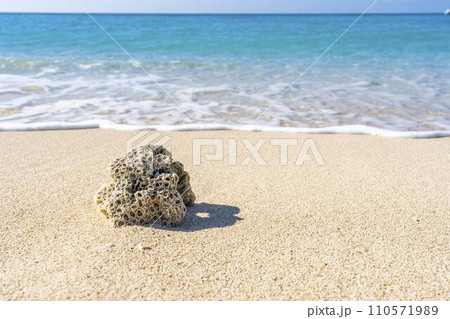 ブセナ海中公園の白い砂浜と青い海　流れ着いたサンゴ　沖縄県名護市 110571989