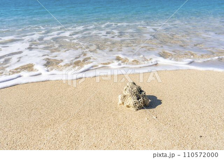 ブセナ海中公園の白い砂浜と青い海　流れ着いたサンゴ　沖縄県名護市 110572000