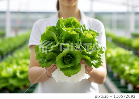 person holding lettuce during hydroponic farming person holding lettuce during hydroponic farming 110572092