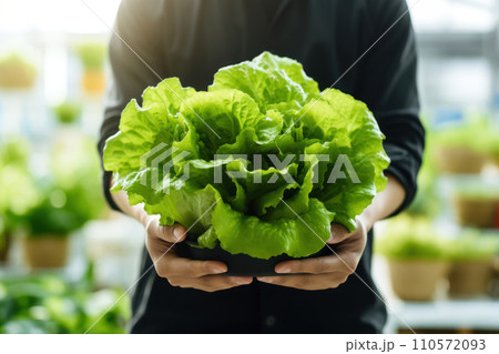 person holding lettuce during hydroponic farming person holding lettuce during hydroponic farming 110572093