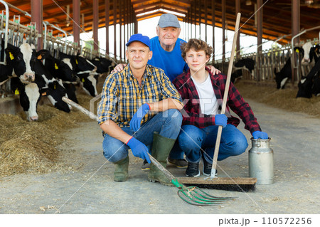 Positive elderly cow breeder with adult son and teenage grandson in cowshed Positive elderly cow breeder with adult son and teenage grandson in cowshed 110572256
