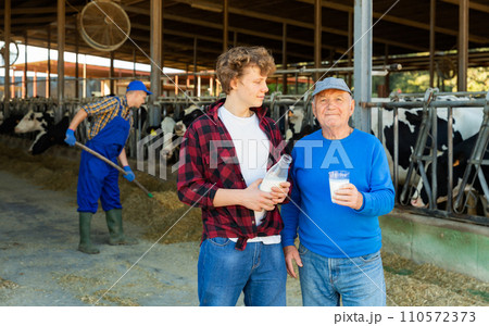 Milk farm workers in cowshed 110572373