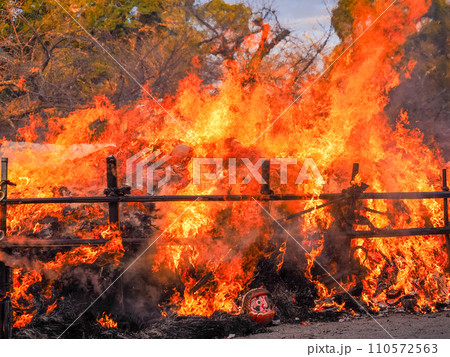 （静岡県）三嶋大社のどんど焼き 110572563