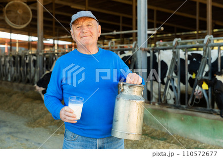 Senior farmer in cowhouse Senior farmer in cowhouse 110572677