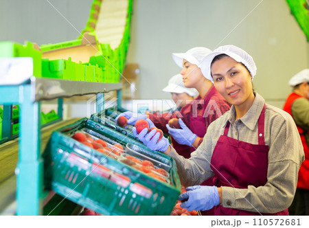 Women workers soring peaches 110572681