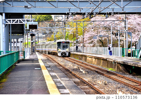 大阪府 満開の桜と紀州路快速 110573136