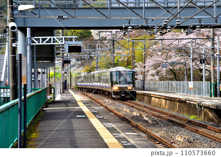 大阪府 満開の桜と紀州路快速 大阪府 満開の桜と紀州路快速 110573660
