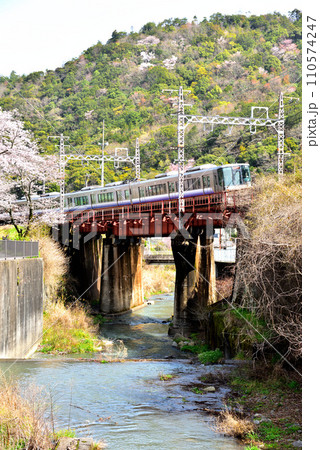 大阪府 満開の桜と紀州路快速 110574247