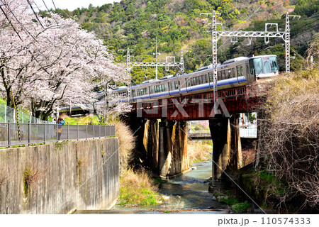 大阪府 満開の桜と紀州路快速 110574333