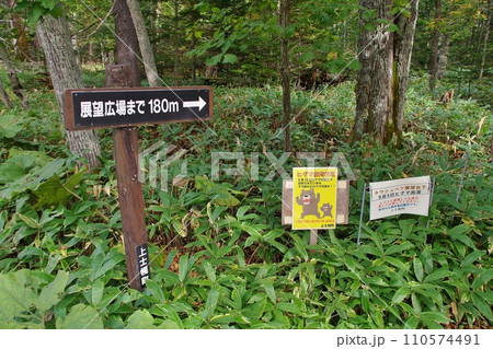 タウシュベツ川橋梁 タウシュベツ川橋梁 110574491