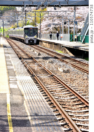 大阪府 満開の桜と紀州路快速 大阪府 満開の桜と紀州路快速 110574738