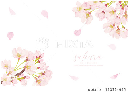 水彩で描いた桜のイラスト 110574946