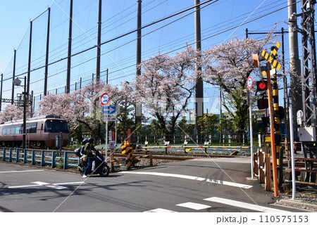 藤沢市　六会日大前の小田急線踏切と満開桜 110575153