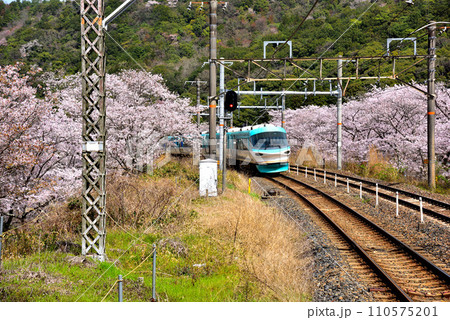 大阪府 山中渓を走る特急オーシャンアロー 110575201