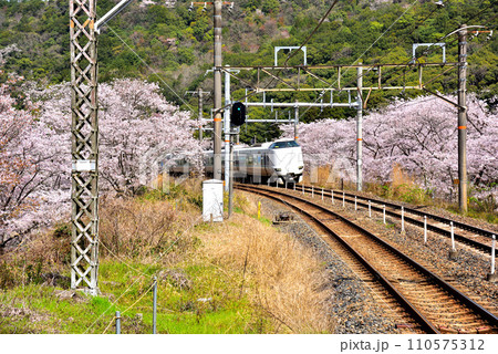 大阪府 山中渓を走る特急くろしお 110575312