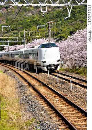 大阪府 山中渓を走る特急くろしお 大阪府 山中渓を走る特急くろしお 110575318