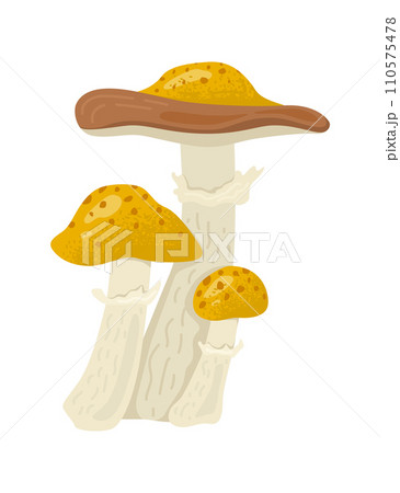 Three cartoon style yellow mushrooms with brown caps, natural fungi illustration. Mushroom picking, autumn forest harvest, vegetation vector illustration. 110575478