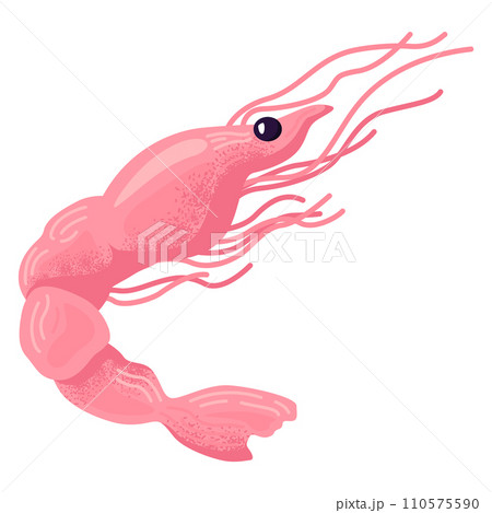 Pink shrimp cartoon character swimming underwater. Cute marine life seafood theme vector illustration. Pink shrimp cartoon character swimming underwater. Cute marine life seafood theme vector illustration. 110575590
