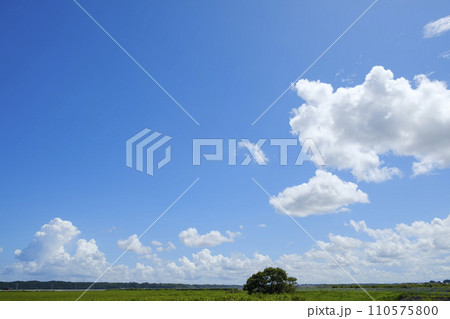 夏の空と雲 110575800