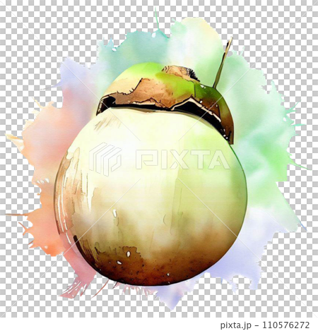 Coconut Coconut 110576272
