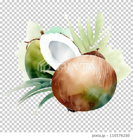 Coconut Coconut 110576280