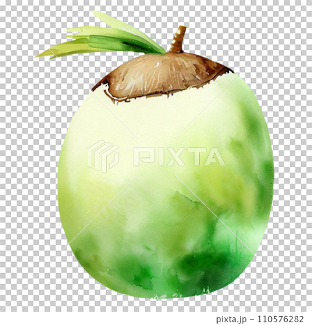 Coconut  110576282