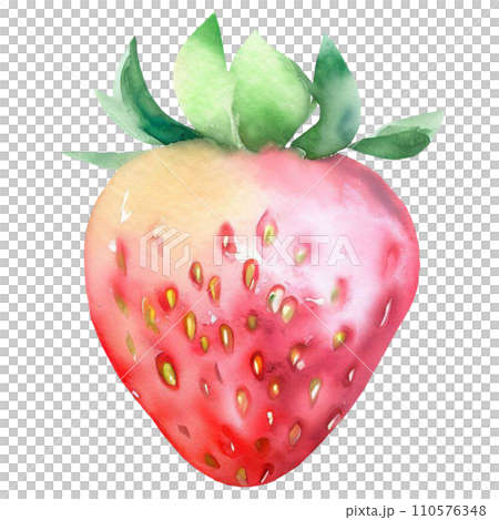 Strawberry Strawberry 110576348
