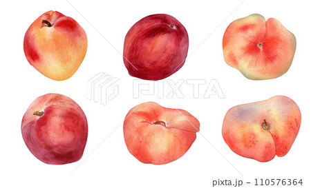 Watercolor set of fresh various peaches isolated on white. Hand drawn illustration ripe fruits nectarine, fig peaches. Whole peaches painted. Design element for package, label and other project 110576364