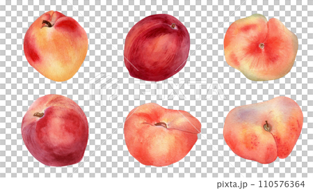 Watercolor set of fresh various peaches isolated on white. Hand drawn illustration ripe fruits nectarine, fig peaches. Whole peaches painted. Design element for package, label and other project 110576364