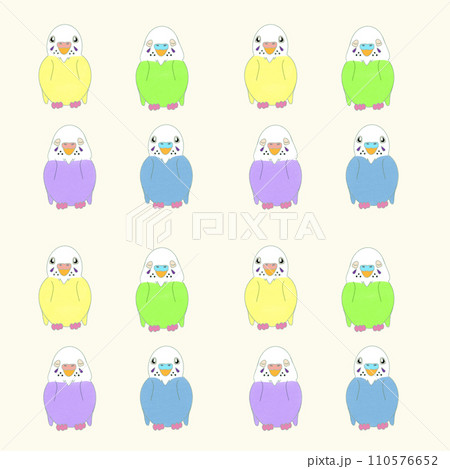 セキセイインコ 起きている寝ている パターン セキセイインコ 起きている寝ている パターン 110576652