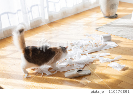 トイレットペーパーでいたずらをする猫 トイレットペーパーでいたずらをする猫 110576891