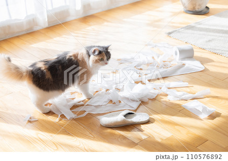 トイレットペーパーでいたずらをする猫 110576892