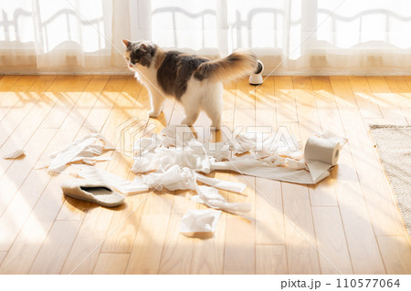 トイレットペーパーでいたずらをする猫 110577064