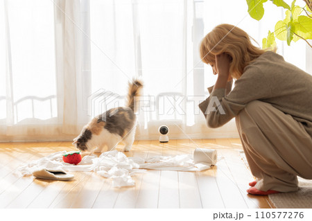 トイレットペーパーでいたずらをする猫を見て頭を抱える飼い主 110577276