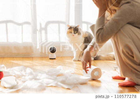 トイレットペーパーでいたずらをする猫を見て頭を抱える飼い主 トイレットペーパーでいたずらをする猫を見て頭を抱える飼い主 110577278
