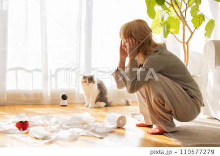 トイレットペーパーでいたずらをする猫を見て頭を抱える飼い主 トイレットペーパーでいたずらをする猫を見て頭を抱える飼い主 110577279
