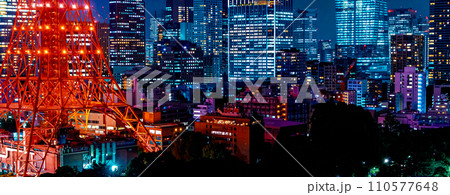 Aerial view of Minato, Tokyo, Japan 110577648