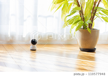 リビングの床に置かれたペットカメラ 110577948