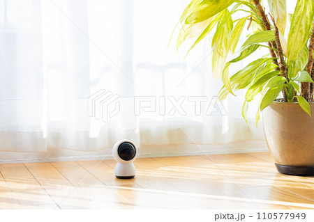 リビングの床に置かれたペットカメラ 110577949