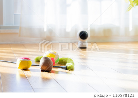 リビングの床に置かれたペットカメラと猫のおもちゃ リビングの床に置かれたペットカメラと猫のおもちゃ 110578123