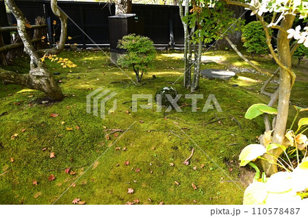 秋の角館武家屋敷 110578487