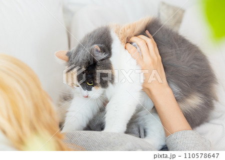 飼い主さんとソファーでくつろぐ猫 110578647