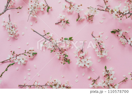 Spring flowers of fruit tree on pink background. Flat lay. 110578700