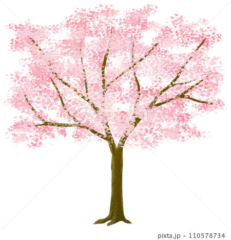 満開に咲いた背の高い桜の木のイラスト 110578734