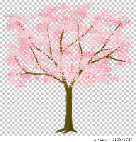 満開に咲いた背の高い桜の木のイラスト 110578734