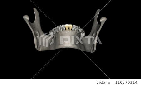 The mandibular central incisor is the tooth located on the jaw, adjacent to the midline of the face 110579314