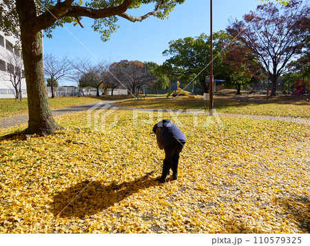 秋の公園のイチョウの落ち葉と散歩するシニア女性 110579325