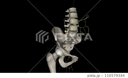 Mesenteric lymphatic vessels play a critical role in intestinal interstitial fluid balance 110579384