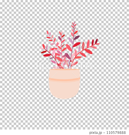 Valentine red plant in the pot 110579888